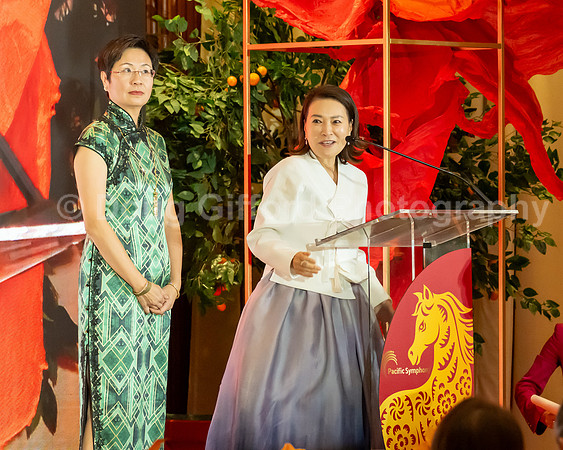Lunar New Year 2026 - Year of the Fire Horse