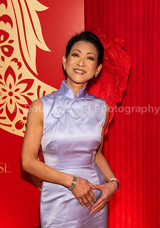 Lunar New Year 2026 - Year of the Fire Horse