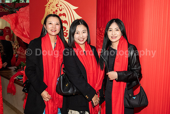 Lunar New Year 2026 - Year of the Fire Horse