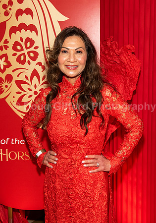 Lunar New Year 2026 - Year of the Fire Horse