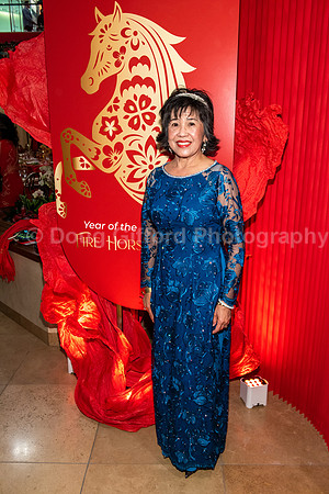 Lunar New Year 2026 - Year of the Fire Horse