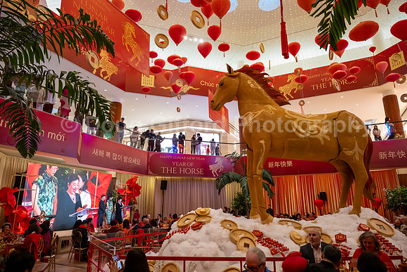 Lunar New Year 2026 - Year of the Fire Horse