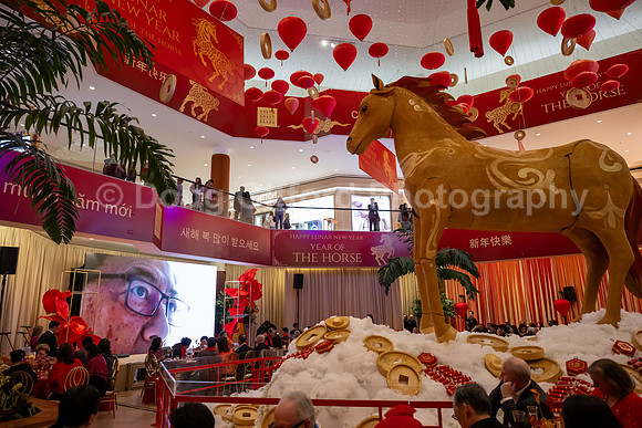 Lunar New Year 2026 - Year of the Fire Horse