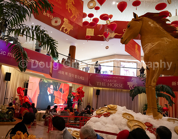 Lunar New Year 2026 - Year of the Fire Horse