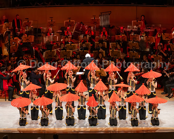 Lunar New Year 2026 - Year of the Fire Horse
