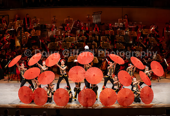 Lunar New Year 2026 - Year of the Fire Horse