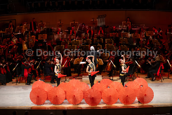 Lunar New Year 2026 - Year of the Fire Horse