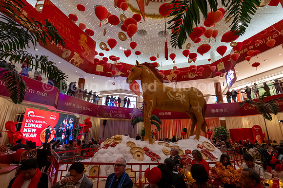 Lunar New Year 2026 - Year of the Fire Horse