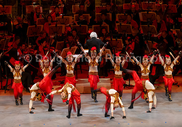 Lunar New Year 2026 - Year of the Fire Horse