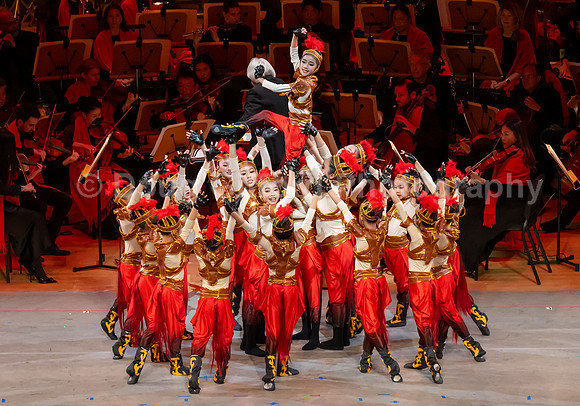 Lunar New Year 2026 - Year of the Fire Horse