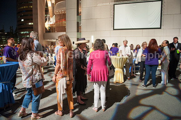 SCFTA - Summer at the Center Performance 073115
