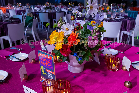 Orange County School of the Arts Foundation Presents - Cosmic Variety Hour Gala 2026