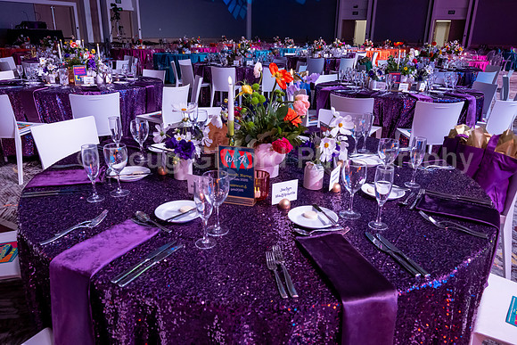 Orange County School of the Arts Foundation Presents - Cosmic Variety Hour Gala 2026