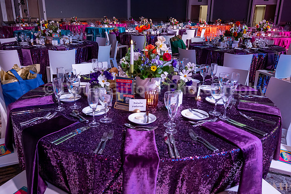 Orange County School of the Arts Foundation Presents - Cosmic Variety Hour Gala 2026