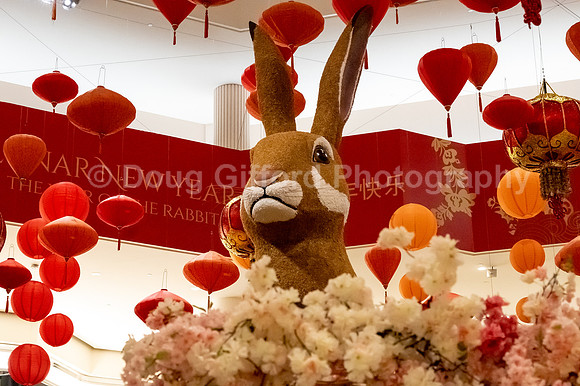 Pacific Symphony - Lunar New Year, Dinner and Concert