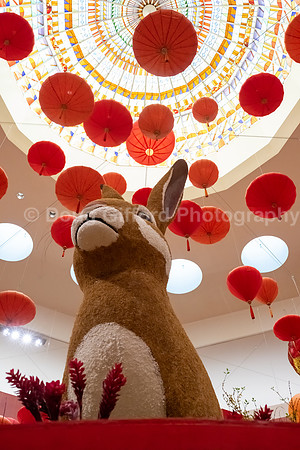 Pacific Symphony - Lunar New Year, Dinner and Concert