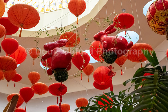 Pacific Symphony - Lunar New Year, Dinner and Concert
