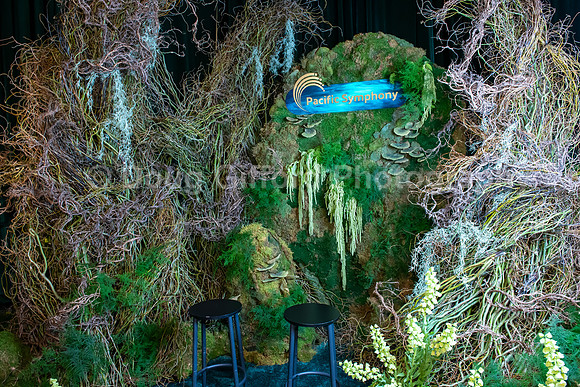 Pacific Symphony Gala 2026 – Wicked Celebration, A Magical Evening in Oz