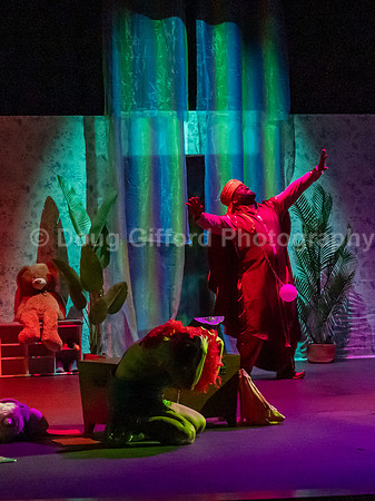 Lyric Opera of Orange County presents “Maya and the Magic Ring” – Dress Rehearsal