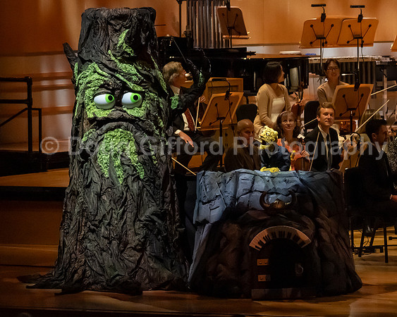 Pacific Symphony / Leopold & The Magic Flute: Opera For Kids!