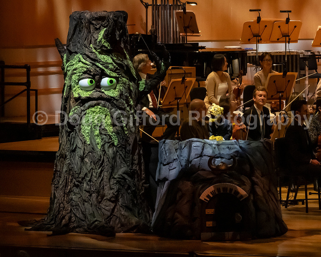 Pacific Symphony / Leopold & The Magic Flute: Opera For Kids!