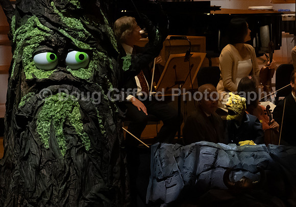 Pacific Symphony / Leopold & The Magic Flute: Opera For Kids!