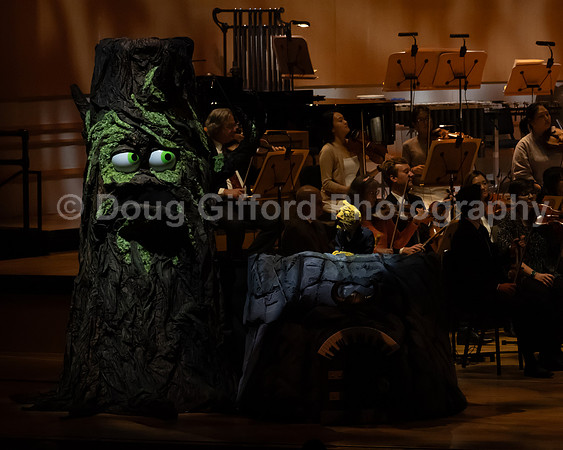 Pacific Symphony / Leopold & The Magic Flute: Opera For Kids!