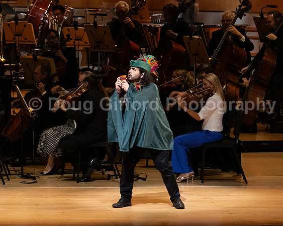 Pacific Symphony / Leopold & The Magic Flute: Opera For Kids!