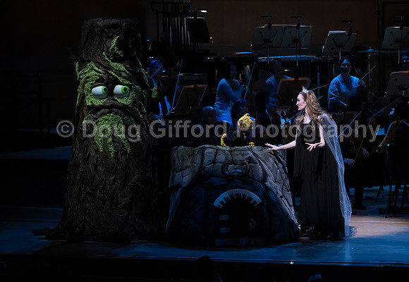 Pacific Symphony / Leopold & The Magic Flute: Opera For Kids!