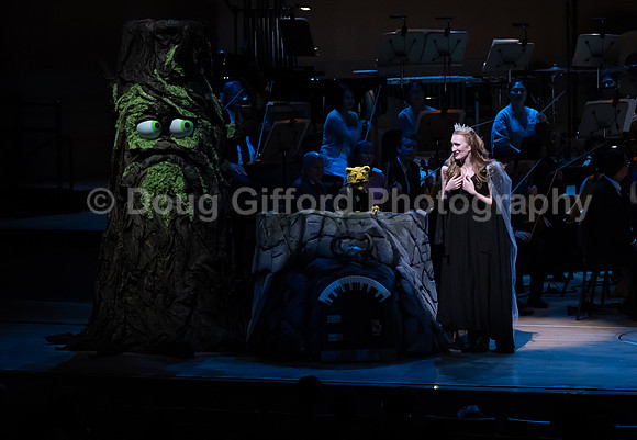 Pacific Symphony / Leopold & The Magic Flute: Opera For Kids!