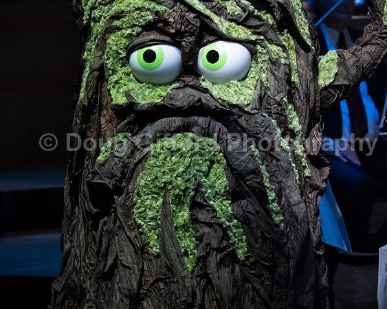 Pacific Symphony / Leopold & The Magic Flute: Opera For Kids!