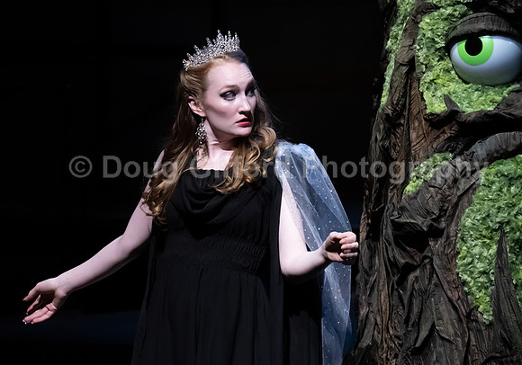 Pacific Symphony / Leopold & The Magic Flute: Opera For Kids!