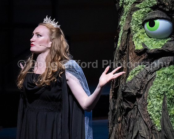 Pacific Symphony / Leopold & The Magic Flute: Opera For Kids!