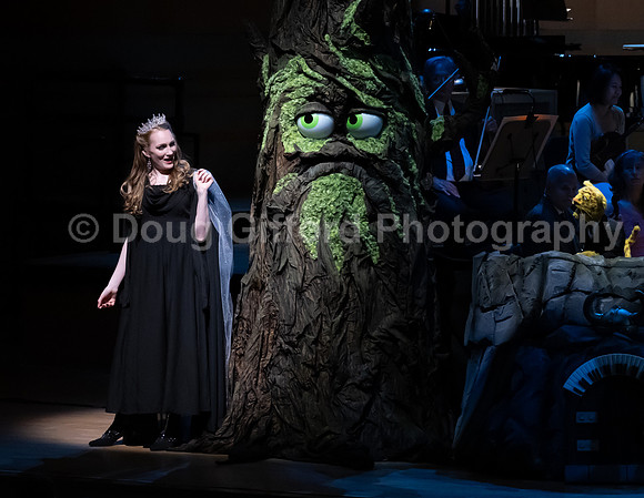 Pacific Symphony / Leopold & The Magic Flute: Opera For Kids!