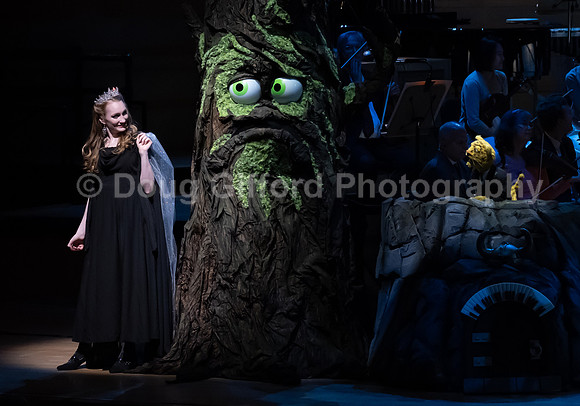 Pacific Symphony / Leopold & The Magic Flute: Opera For Kids!