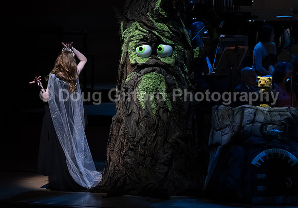 Pacific Symphony / Leopold & The Magic Flute: Opera For Kids!