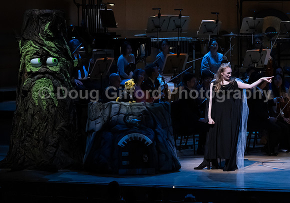Pacific Symphony / Leopold & The Magic Flute: Opera For Kids!