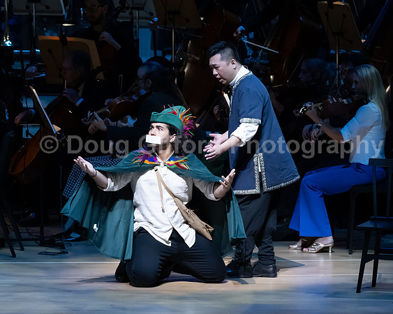 Pacific Symphony / Leopold & The Magic Flute: Opera For Kids!