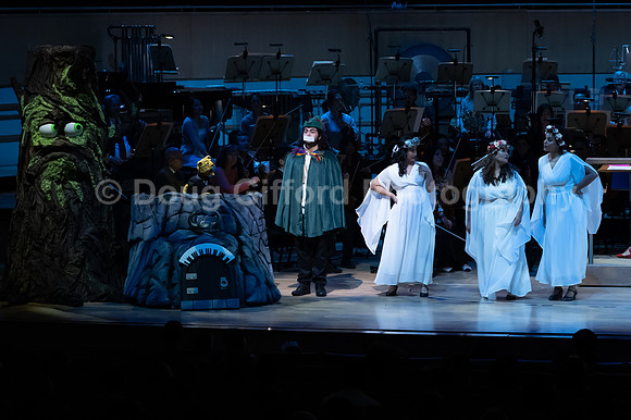 Pacific Symphony / Leopold & The Magic Flute: Opera For Kids!