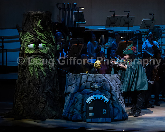 Pacific Symphony / Leopold & The Magic Flute: Opera For Kids!