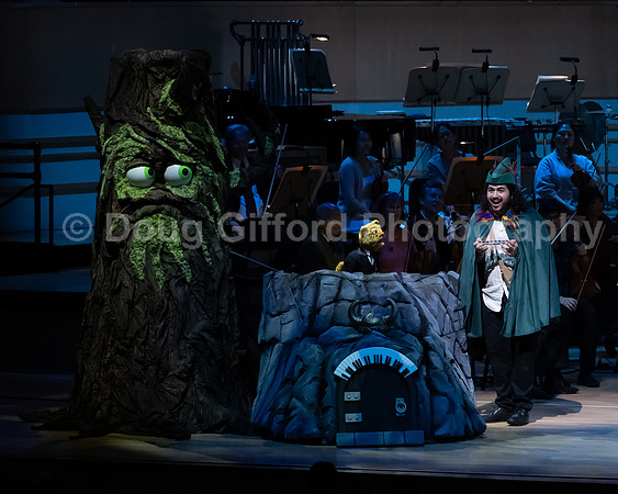 Pacific Symphony / Leopold & The Magic Flute: Opera For Kids!