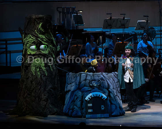 Pacific Symphony / Leopold & The Magic Flute: Opera For Kids!