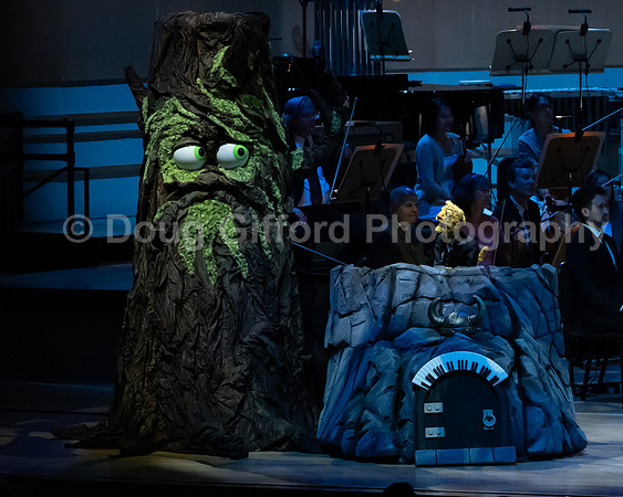 Pacific Symphony / Leopold & The Magic Flute: Opera For Kids!