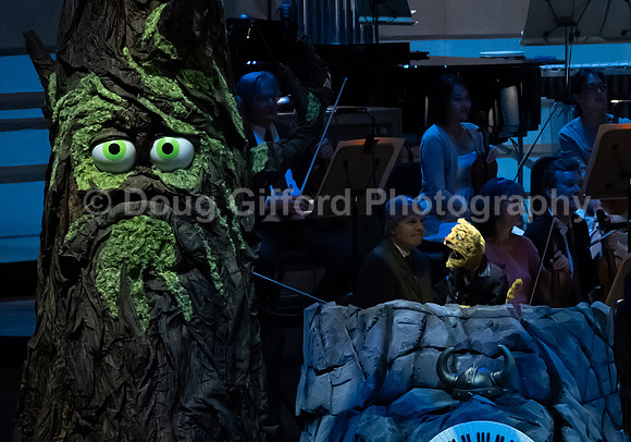 Pacific Symphony / Leopold & The Magic Flute: Opera For Kids!