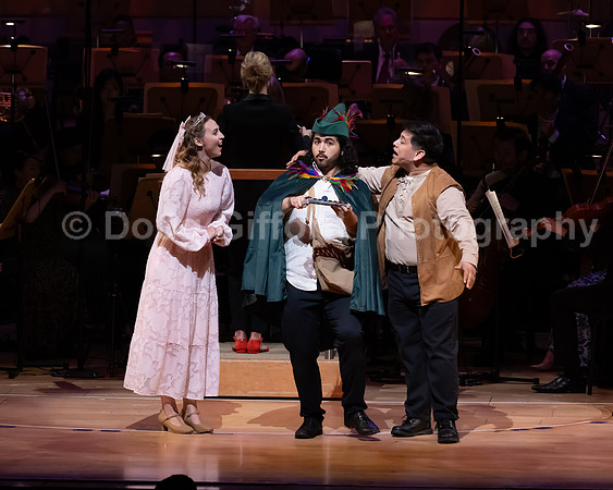 Pacific Symphony / Leopold & The Magic Flute: Opera For Kids!