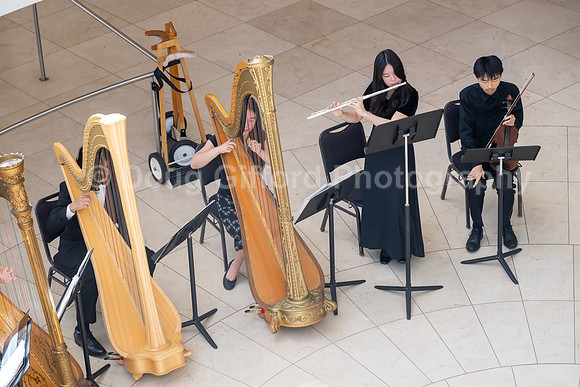 Pacific Symphony / Leopold & The Magic Flute: Opera For Kids!