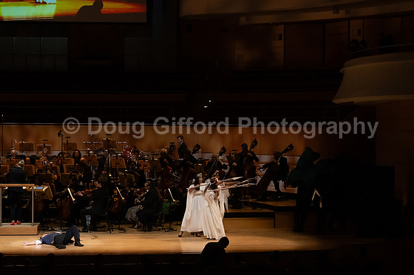 Pacific Symphony / Leopold & The Magic Flute: Opera For Kids!