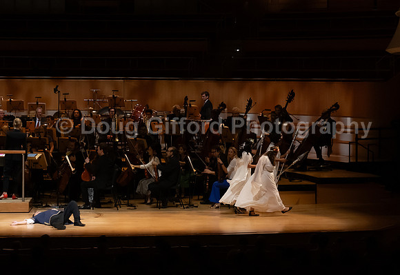 Pacific Symphony / Leopold & The Magic Flute: Opera For Kids!