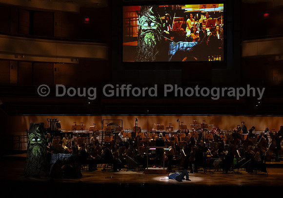 Pacific Symphony / Leopold & The Magic Flute: Opera For Kids!