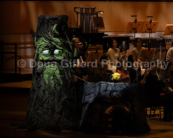 Pacific Symphony / Leopold & The Magic Flute: Opera For Kids!